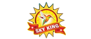 fancy firecrackers sivakasi